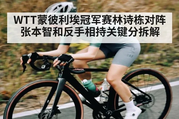 WTT蒙彼利埃冠军赛林诗栋对阵张本智和反手相持关键分拆解