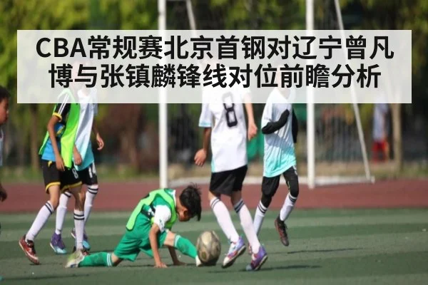 CBA常规赛北京首钢对辽宁曾凡博与张镇麟锋线对位前瞻分析